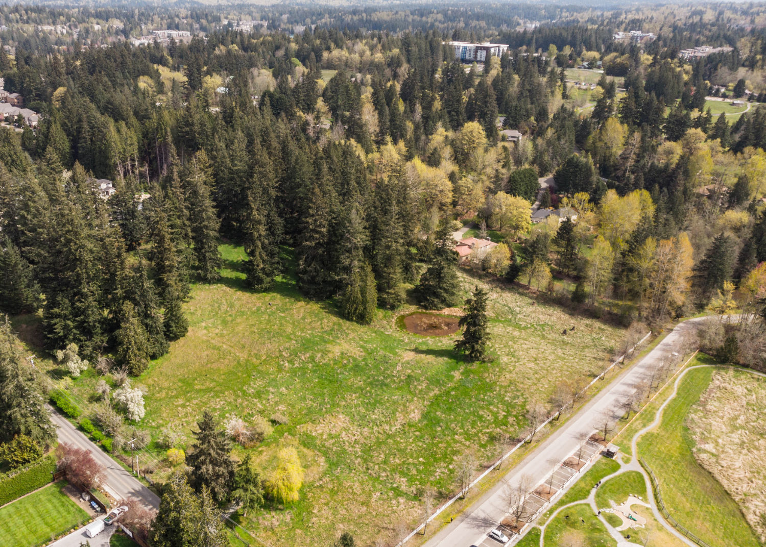 oblique image of Big Rock Park South showing grassy field surrounded by forest and street with trees and parking