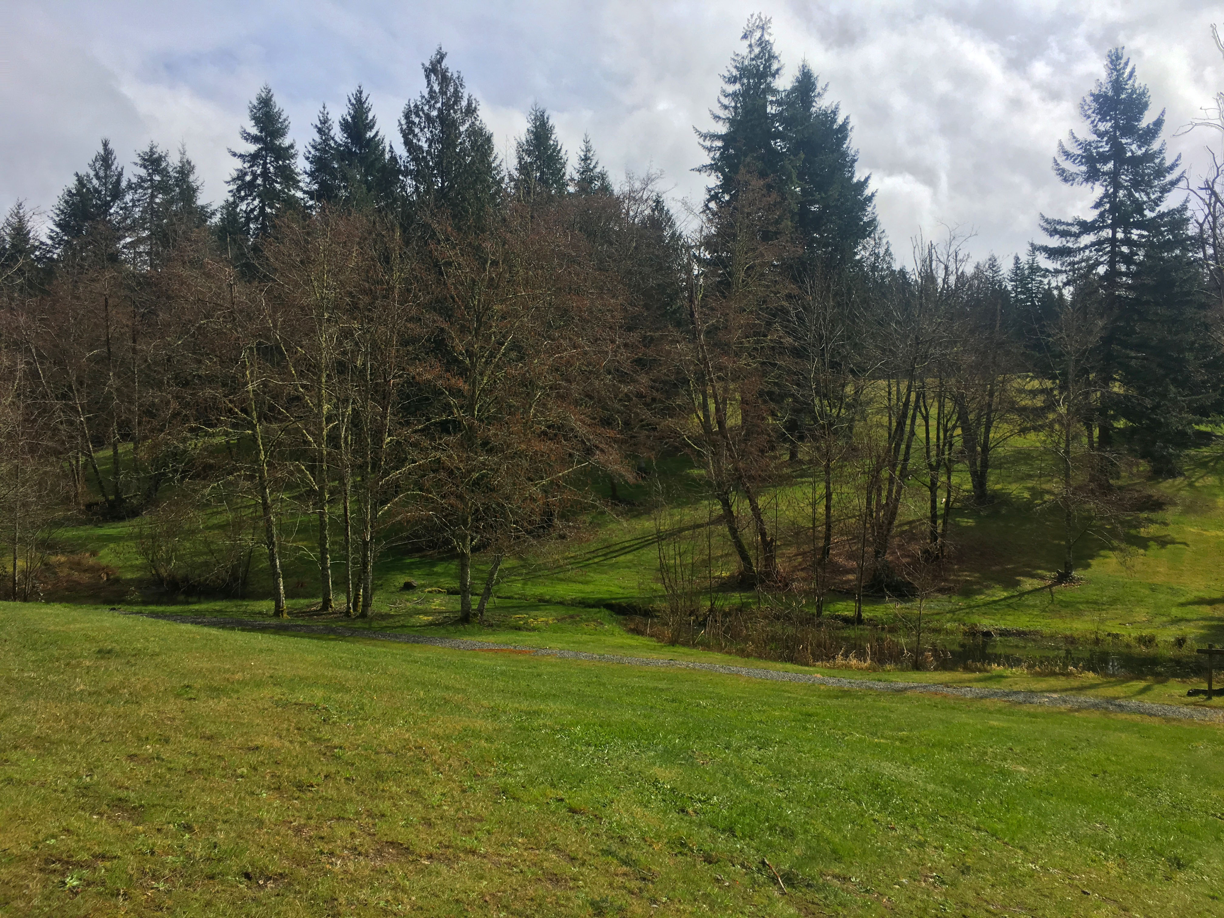 Meadow in Big Rock Park Central with evergreen and deciduous trees and small body of water in the background.